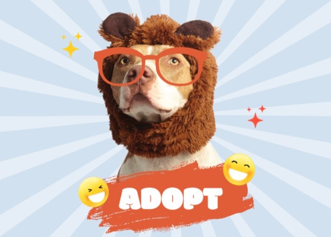 Créer le design comme vous voulez avec la photo d'un animal mignon