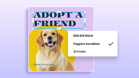 Design d'affiche pour l'adoption de chiens en utilisant les outils de design de Fotor